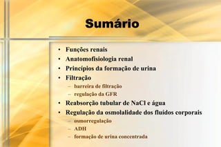 Sumário
•   Funções renais
•   Anatomofisiologia renal
•   Princípios da formação de urina
•   Filtração
    – barreira de filtração
    – regulação da GFR
• Reabsorção tubular de NaCl e água
• Regulação da osmolalidade dos fluídos corporais
    – osmorregulação
    – ADH
    – formação de urina concentrada
 