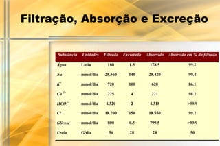 Filtração, Absorção e Excreção


     Substância   Unidades   Filtrado   Excretado   Absorvido   Absorvido em % do filtrado

     Água         L/dia        180         1.5        178.5               99.2

     Na+          mmol/dia   25.560       140        25.420               99.4

     K+           mmol/dia     720        100         620                 86.1

     Ca 2+        mmol/dia     225         4          221                 98.2

     HCO3-        mmol/dia    4.320        2          4.318               >99.9

     Cl-          mmol/dia   18.700       150        18.550               99.2

     Glicose      mmol/dia     800         0.5        799.5               >99.9

     Ureia        G/dia        56          28          28                  50
 