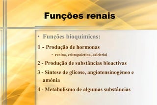 Funções renais

• Funções bioquímicas:
1 - Produção de hormonas
      • renina, eritropoietina, calcitriol

2 - Produção de substâncias bioactivas
3 - Síntese de glicose, angiotensinogéneo e
   amónia
4 - Metabolismo de algumas substâncias
 