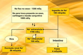 Na fixo no osso - 1300 mEq
                                          Ingestão de Na+
       Na para troca presente no osso,      100 mEq/dia
       cartilagem e tecido conjuntivo
                1000 mEq




                       Na+ extracelular
                         1700 mEq


    Rins               Na+ intracelular
                          100 mEq         Intestino

Excreção renal Na+                          Fezes
     96 mEq/dia                           4 mEq/dia
 