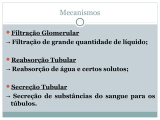 Mecanismos 
Filtração Glomerular 
→ Filtração de grande quantidade de líquido; 
Reabsorção Tubular 
→ Reabsorção de água e certos solutos; 
Secreção Tubular 
→ Secreção de substâncias do sangue para os 
túbulos. 
 