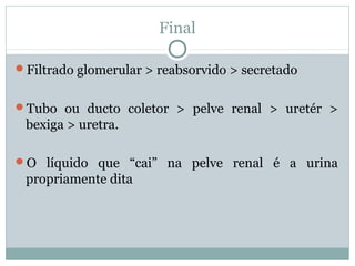 Final 
Filtrado glomerular > reabsorvido > secretado 
Tubo ou ducto coletor > pelve renal > uretér > 
bexiga > uretra. 
O líquido que “cai” na pelve renal é a urina 
propriamente dita 
 