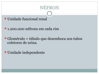 NÉFRON 
Unidade funcional renal 
1.200.000 néfrons em cada rim 
Glomérulo + túbulo que desemboca nos tubos 
coletores de urina. 
Unidade independente 
 