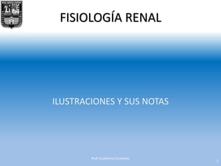 FISIOLOGÍA RENAL
ILUSTRACIONES Y SUS NOTAS
1
Prof. Guillermo Contreras
 