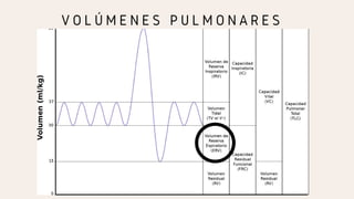 V O L Ú M E N E S P U L M O N A R E S
 