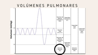 V O L Ú M E N E S P U L M O N A R E S
 