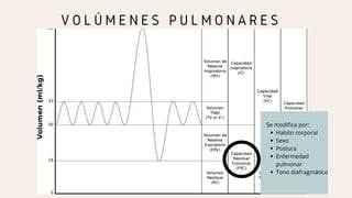 V O L Ú M E N E S P U L M O N A R E S
Habito corporal
Sexo
Postura
Enfermedad
pulmonar
Tono diafragmático
Se modifica por:
 