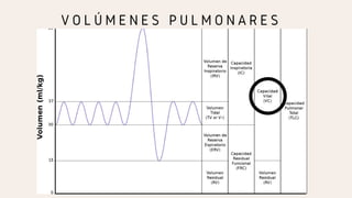 V O L Ú M E N E S P U L M O N A R E S
 