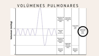 V O L Ú M E N E S P U L M O N A R E S
 