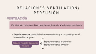 R E L A C I O N E S V E N T I L A C I Ó N /
P E R F U S I Ó N
VENTILACIÓN
VENTILACIÓN
Ventilación minuto = Frecuencia respiratoria x Volumen corriente
Espacio muerto: parte del volumen corriente que no participa en el
intercambio de gases
Espacio muerto anatómico
Espacio muerto alveolar
Espacio muerto fisiológico
= 150 ml
 