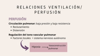 Reclutamiento
Distensión
Circulación pulmonar: baja presión y baja resistencia
Factores locales > sistema nervioso autónomo
Regulación del tono vascular pulmonar
R E L A C I O N E S V E N T I L A C I Ó N /
P E R F U S I Ó N
PERFUSIÓN
PERFUSIÓN
Hipoxia
Vasoconstrucción
pulmonar
 