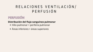 Hilio pulmonar > periferia pulmonar
Distribución del flujo sanguíneo pulmonar
R E L A C I O N E S V E N T I L A C I Ó N /
P E R F U S I Ó N
PERFUSIÓN
PERFUSIÓN
Áreas inferiores > áreas superiores
 