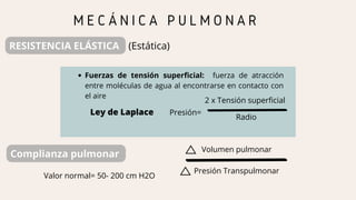 Radio
M E C Á N I C A P U L M O N A R
RESISTENCIA ELÁSTICA (Estática)
Fuerzas de tensión superficial: fuerza de atracción
entre moléculas de agua al encontrarse en contacto con
el aire
Ley de Laplace Presión=
2 x Tensión superficial
Complianza pulmonar
Volumen pulmonar
Presión Transpulmonar
Valor normal= 50- 200 cm H2O
 