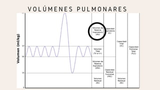 V O L Ú M E N E S P U L M O N A R E S
 