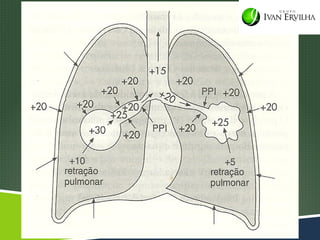  Colocar imagem 9-9 pag 215 egan
 