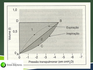  Colocar imagem 9-10 pag 216
 