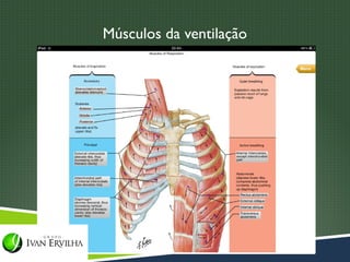 Músculos da ventilação
 