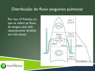 Distribuição do fluxo sanguíneo pulmonar

Por isso, O Pulmão, no
que se refere ao fluxo
de sangue, tem sido
classicamente dividido
em três zonas:
 