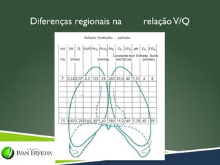 Diferenças regionais na   relação V/Q
 
