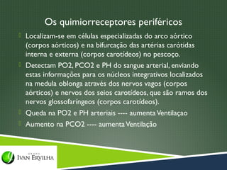 Os quimiorreceptores periféricos
 Localizam-se em células especializadas do arco aórtico
  (corpos aórticos) e na bifurcação das artérias carótidas
  interna e externa (corpos carotídeos) no pescoço.
 Detectam PO2, PCO2 e PH do sangue arterial, enviando
  estas informações para os núcleos integrativos localizados
  na medula oblonga através dos nervos vagos (corpos
  aórticos) e nervos dos seios carotídeos, que são ramos dos
  nervos glossofaríngeos (corpos carotídeos).
 Queda na PO2 e PH arteriais ---- aumenta Ventilaçao
 Aumento na PCO2 ---- aumenta Ventilação
 