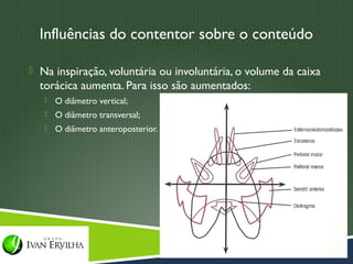 Influências do contentor sobre o conteúdo

 Na inspiração, voluntária ou involuntária, o volume da caixa
  torácica aumenta. Para isso são aumentados:
      O diâmetro vertical;
      O diâmetro transversal;
      O diâmetro anteroposterior.
 