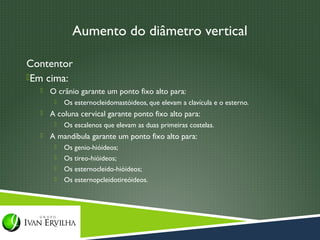 Aumento do diâmetro vertical

Contentor
Em cima:
     O crânio garante um ponto fixo alto para:
          Os esternocleidomastóideos, que elevam a clavícula e o esterno.
     A coluna cervical garante ponto fixo alto para:
          Os escalenos que elevam as duas primeiras costelas.
     A mandíbula garante um ponto fixo alto para:
          Os genio-hióideos;
          Os tireo-hióideos;
          Os esternocleido-hióideos;
          Os esternopcleidotireóideos.
 
