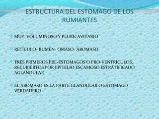 Fisiologia ruminal | PPT