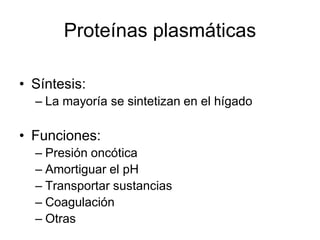 Proteínas plasmáticas

• Síntesis:
  – La mayoría se sintetizan en el hígado

• Funciones:
  – Presión oncótica
  – Amortiguar el pH
  – Transportar sustancias
  – Coagulación
  – Otras
 