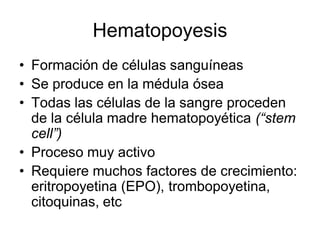 Hematopoyesis
• Formación de células sanguíneas
• Se produce en la médula ósea
• Todas las células de la sangre proceden
  de la célula madre hematopoyética (“stem
  cell”)
• Proceso muy activo
• Requiere muchos factores de crecimiento:
  eritropoyetina (EPO), trombopoyetina,
  citoquinas, etc
 