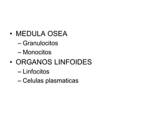 • MEDULA OSEA
 – Granulocitos
 – Monocitos
• ORGANOS LINFOIDES
 – Linfocitos
 – Celulas plasmaticas
 