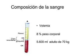 Composición de la sangre


           • Volemia

           8 % peso corporal

           5.600 ml adulto de 70 kg
 
