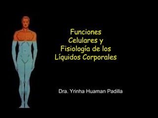 Funciones
Celulares y
Fisiología de los
Líquidos Corporales
Dra. Yrinha Huaman Padilla
 