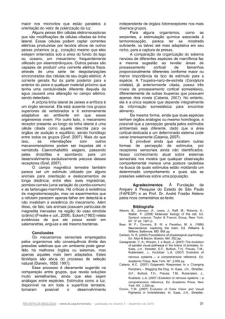 REVISTA DA BIOLOGIA – www.ib.usp.br/revista – publicado no volume 5 – dezembro de 2010 31
maior nos microvilos que estão paralelos à
orientação do vetor de polarização da luz.
Alguns peixes têm células eletrorreceptoras
que são modificações de células ciliadas da linha
lateral. Essas células podem captar correntes
elétricas produzidas por tecidos ativos de outros
peixes próximos (e.g., coração) mesmo que eles
estejam enterrados sob a areia do fundo do lago
ou oceano, um mecanismo frequentemente
utilizado por elasmobrânquios. Outros peixes são
capazes de produzir uma corrente elétrica fraca,
através de uma série de despolarizações
sincronizadas das células de seu órgão elétrico. A
corrente gerada flui da parte posterior para a
anterior do peixe e qualquer material próximo que
tenha uma condutividade diferente daquela da
água causará uma alteração no campo elétrico,
sendo detectado.
A própria linha lateral de peixes e anfíbios é
um órgão sensorial. Ela está ausente nos grupos
superiores de vertebrados e é extremamente
adaptativa ao ambiente em que esses
organismos vivem. Por outro lado, o mecanismo
receptor presente ao longo da linha lateral é uma
célula ciliada como aquela descrita para os
órgãos de audição e equilíbrio, sendo homólogo
entre todos os grupos (Graf, 2007). Mais do que
isso, as interrelações com outros
mecanorreceptores podem ser traçadas até o
nemátoda Caenorhabiditis elegans, passando
pelas drosófilas e apontando para um
desenvolvimento evolutivamente precoce desses
receptores (Graf, 2007).
O campo magnético terrestre também
parece ser um estímulo utilizado por alguns
animais para orientação e deslocamentos de
longa distância; entre eles: aves migratórias,
pombos-correio (uma variação do pombo-comum)
e as tartarugas-marinhas. Há críticas à existência
da magnetorrecepção, mas os experimentos que
a refutam parecem apenas falhar em detectá-la e
não invalidam a existência do mecanismo. Além
disso, de fato, tais animais possuem partículas de
magnetita inervadas na região do osso etmóide
(crânio) (Freake e col., 2006). Eckert (1983) relata
evidências de que ele possa existir em
salamandras, enguias e até mesmo bactérias.
Conclusões
Os mecanismos sensoriais empregados
pelos organismos são consequência direta das
pressões seletivas que um ambiente pode gerar.
Não há melhores órgãos ou sistemas, mas
apenas aqueles mais bem adaptados. Estes
fenótipos são alvos do processo de seleção
natural (Darwin, 1859, 1997).
Esse processo é claramente sugerido na
comparação entre grupos, que revela soluções
muito semelhantes, ainda que elas sejam
análogas entre espécies. Estímulos como a luz,
disponível na em toda a superfície terrestre,
tornaram possível o desenvolvimento
independente de órgãos fotorreceptores nos mais
diversos grupos.
Para alguns organismos, como as
serpentes, a estimulação química associada à
termorrecepção, parece ter se mostrado
suficiente, ou talvez até mais adaptativa em seu
nicho, para a captura de presas.
A comparação da organização do sistema
nervoso de diferentes espécies de mamíferos faz
a mesma sugestão ao revelar áreas de
processamento cortical de tamanhos
proporcionalmente diferentes conforme maior ou
menor importância de tipo de estímulo para a
espécie. A Toupeira-nariz-de-estrela (Condylura
cristata), já anteriormente citada, possui três
níveis de processamento cortical somestésico,
diferentemente de outras toupeiras que possuem
apenas dois níveis (Catania, 2007). No entanto,
ela é a única espécie que depende integralmente
da informação somestésica para encontrar
alimento.
Da mesma forma, ainda que duas espécies
tenham órgãos análogos ou mesmo homólogos, é
possível que a percepção gerada pelos estímulos
ambientais seja diferente, dado que a área
cortical dedicada a um determinado sistema pode
variar imensamente (Catania, 2007).
É provável ainda que existam outras
formas de percepção de estímulos, por
receptores sensoriais ainda não identificados.
Nosso conhecimento atual sobre sistemas
sensoriais nos mostra que qualquer observação
comportamental merece uma postura cautelosa
na busca de quais estímulos estão moldando um
determinado comportamento e quais são as
pressões seletivas sobre uma população.
Agradecimentos. À Fundação de
Amparo à Pesquisa do Estado de São Paulo
(FAPESP) e ao Prof. Dr. André Frazão Helene
pelos ricos comentários ao texto.
Bibliografia
Alberts, B., Johnson, A., Lewis, J., Raff, M., Roberts, K.,
Walter. P. (2008) Molecular biology of the cell. Ed.
Garland science, Taylor & Francis Group, New York,
NY. 5ª ed. 1601 p.
Bear, M. F.; Connors, B. W. e Paradiso, M. A. (1996)
Neuroscience: exploring the brain. Ed. Williams &
Wilkins. Baltimore, MD. 666 pp.
Carlson, N. R. (2004) Foundations of physiological psychology.
Ed. Allyn & Bacon, Boston, MA. 592 pp.
Casagrande, V. A.; Khaytin, I. e Boyd, J. (2007) The evolution
of parallel visual pathways in the brains of primates. In:
Kaas, J.H., Striedter, G.F., Bullock, T.H., Preuss, T.M.,
Rubenstein, J., Krubitzer, L.A. (2007) Evolution of
nervous systems – a comprehensive reference. Ed.
Academic Press, New York, NY. 2.000 pp.
Catania, K.C. (2007) Epigenetic Responses to a Changing
Periphery – Wagging the Dog. In: Kaas, J.H., Striedter,
G.F., Bullock, T.H., Preuss, T.M., Rubenstein, J.,
Krubitzer, L.A. (2007) Evolution of nervous systems – a
comprehensive reference. Ed. Academic Press, New
York, NY. 2.000 pp.
Cronin, T.W. (2007) Evolution of Color Vision and Visual
Pigments in Invertebrates. In: Kaas, J.H., Striedter,
 