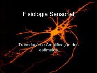 Fisiologia Sensorial
Transdução e Amplificação dos
estímulos
 