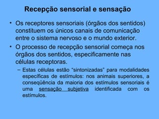 • Os receptores sensoriais (órgãos dos sentidos)
constituem os únicos canais de comunicação
entre o sistema nervoso e o mundo exterior.
• O processo de recepção sensorial começa nos
órgãos dos sentidos, especificamente nas
células receptoras.
– Estas células estão “sintonizadas” para modalidades
específicas de estímulos: nos animais superiores, a
conseqüência da maioria dos estímulos sensoriais é
uma sensação subjetiva identificada com os
estímulos.
Recepção sensorial e sensação
 