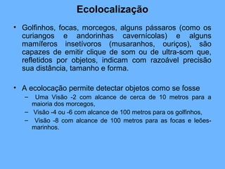 Ecolocalização
• Golfinhos, focas, morcegos, alguns pássaros (como os
curiangos e andorinhas cavernícolas) e alguns
mamíferos insetívoros (musaranhos, ouriços), são
capazes de emitir clique de som ou de ultra-som que,
refletidos por objetos, indicam com razoável precisão
sua distância, tamanho e forma.
• A ecolocação permite detectar objetos como se fosse
– Uma Visão -2 com alcance de cerca de 10 metros para a
maioria dos morcegos,
– Visão -4 ou -6 com alcance de 100 metros para os golfinhos,
– Visão -8 com alcance de 100 metros para as focas e leões-
marinhos.
 