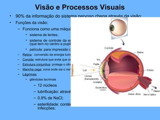 Visão e Processos Visuais
• 90% da informação do sistema nervoso chega através da visão;
• Funções da visão:
– Funciona como uma máquina fotográfica:
• sistema de lentes;
• sistema de controle da entrada de luz : sistema de abertura variável – íris
(que tem no centro a pupila) dilata ou contrai ;
• película: para impressão da imagem;
– Retina : conversão da energia luminosa em energia elétrica;
– Coroide: estrutura que evita que os raios luminosos se reflitam;
– Estrutura conjuntiva: protege o olho na superfície;
– Mancha cega: zona onde sai o nervo óptico; não existem fotoreceptores não sensível;
– Lágrimas:
• glândulas lacrimais
– 12 núcleos
– lubrificação: através do pestanejar, conserva a córnea húmida;
– 0.9% de NaCl;
– esterilidade: contém enzimas bactericidas que evitam
infecções;
 