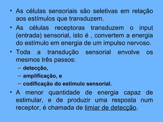 • As células sensoriais são seletivas em relação
aos estímulos que transduzem.
• As células receptoras transduzem o input
(entrada) sensorial, isto é , convertem a energia
do estímulo em energia de um impulso nervoso.
• Toda a transdução sensorial envolve os
mesmos três passos:
– detecção,
– amplificação, e
– codificação do estímulo sensorial.
• A menor quantidade de energia capaz de
estimular, e de produzir uma resposta num
receptor, é chamada de limiar de detecção.
 
