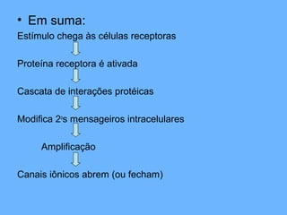 • Em suma:
Estímulo chega às células receptoras
Proteína receptora é ativada
Cascata de interações protéicas
Modifica 2o
s mensageiros intracelulares
Amplificação
Canais iônicos abrem (ou fecham)
 