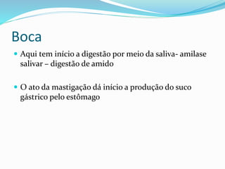 Boca 
 Aqui tem início a digestão por meio da saliva- amilase 
salivar – digestão de amido 
 O ato da mastigação dá início a produção do suco 
gástrico pelo estômago 
 
