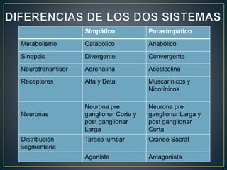 Simpático Parasimpático
Metabolismo Catabólico Anabólico
Sinapsis Divergente Convergente
Neurotransmisor Adrenalina Acetilcolina
Receptores Alfa y Beta Muscarinicos y
Nicotínicos
Neuronas
Neurona pre
ganglionar Corta y
post ganglionar
Larga
Neurona pre
ganglionar Larga y
post ganglionar
Corta
Distribución
segmentaria
Taraco lumbar Cráneo Sacral
Agonista Antagonista
 
