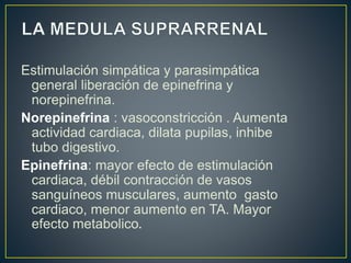 Estimulación simpática y parasimpática
general liberación de epinefrina y
norepinefrina.
Norepinefrina : vasoconstricción . Aumenta
actividad cardiaca, dilata pupilas, inhibe
tubo digestivo.
Epinefrina: mayor efecto de estimulación
cardiaca, débil contracción de vasos
sanguíneos musculares, aumento gasto
cardiaco, menor aumento en TA. Mayor
efecto metabolico.
 