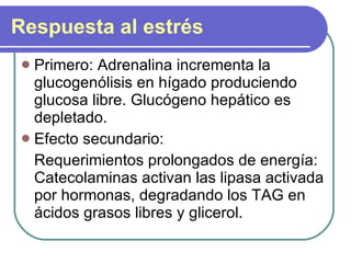 Respuesta al estrés Primero: Adrenalina incrementa la glucogenólisis en hígado produciendo glucosa libre. Glucógeno hepático es depletado. Efecto secundario: Requerimientos prolongados de energía: Catecolaminas activan las lipasa activada por hormonas, degradando los TAG en ácidos grasos libres y glicerol. 