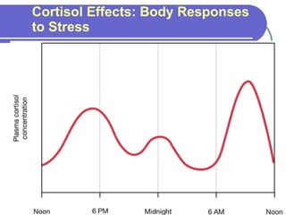 Cortisol Effects: Body Responses to Stress Figure 23-4: Circadian rhythm of cortisol secretion 