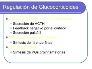 Regulación de Glucocorticoides Liberación CRH  por el Hipotálamo Secreción de ACTH Feedback negativo por el cortisol Secreción pulsátil En otras áreas del cerebro Síntesis de    endorfinas Fuera del SNC Síntesis de PGs proinflamatorias 