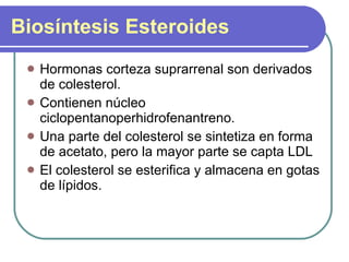 Biosíntesis Esteroides Hormonas corteza suprarrenal son derivados de colesterol. Contienen núcleo ciclopentanoperhidrofenantreno. Una parte del colesterol se sintetiza en forma de acetato, pero la mayor parte se capta LDL El colesterol se esterifica y almacena en gotas de lípidos. 