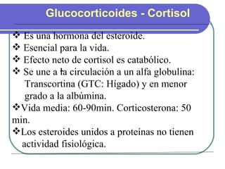 Glucocorticoides - Cortisol Es una hormona del esteroide. Esencial para la vida. Efecto neto de cortisol es catabólico. Se une a la circulación a un alfa globulina:  Transcortina (GTC: Hígado) y en menor  grado a la albúmina. Vida media: 60-90min. Corticosterona: 50 min. Los esteroides unidos a proteínas no tienen  actividad fisiológica. - 