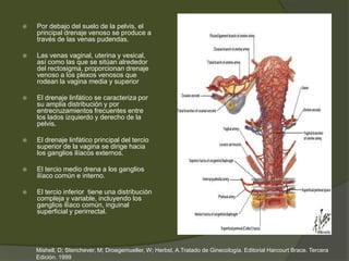    Por debajo del suelo de la pelvis, el
    principal drenaje venoso se produce a
    través de las venas pudendas.

   Las venas vaginal, uterina y vesical,
    así como las que se sitúan alrededor
    del rectosigma, proporcionan drenaje
    venoso a los plexos venosos que
    rodean la vagina media y superior

   El drenaje linfático se caracteriza por
    su amplia distribución y por
    entrecruzamientos frecuentes entre
    los lados izquierdo y derecho de la
    pelvis.

   El drenaje linfático principal del tercio
    superior de la vagina se dirige hacia
    los ganglios ilíacos externos.

   El tercio medio drena a los ganglios
    ilíaco común e interno.

   El tercio inferior tiene una distribución
    compleja y variable, incluyendo los
    ganglios ilíaco común, inguinal
    superficial y perirrectal.




    Mishell, D; Stenchever, M; Droegemueller, W; Herbst, A.Tratado de Ginecología. Editorial Harcourt Brace. Tercera
    Edición. 1999
 