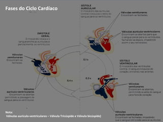 7
Nota:
Válvulas aurículo-ventriculares – Válvula Tricúspide e Válvula bicúspide)
Fases do Ciclo Cardíaco
 
