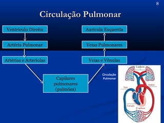 Circulação PulmonarCirculação Pulmonar
8
Ventrículo Direito
Artéria Pulmonar
Artérias e Arteríolas
Capilares
pulmonares
(pulmões)
Veias e Vênulas
Veias Pulmonares
Aurícula Esquerda
Circulação
Pulmonar
 